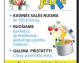 salės nuoma 